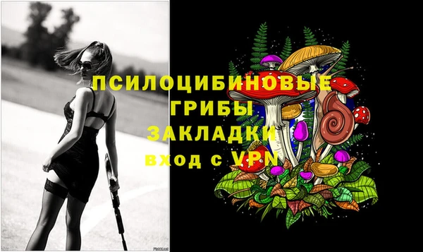 PSILOCYBIN Приозерск